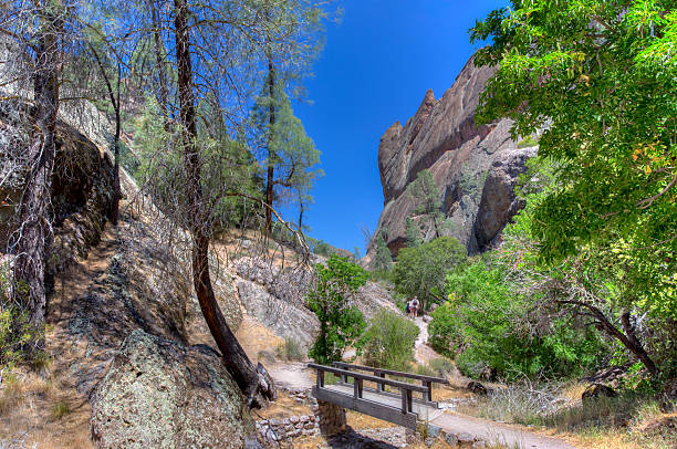 istock Spectacular Rock Formations at Pinnacles National Park 178462599
