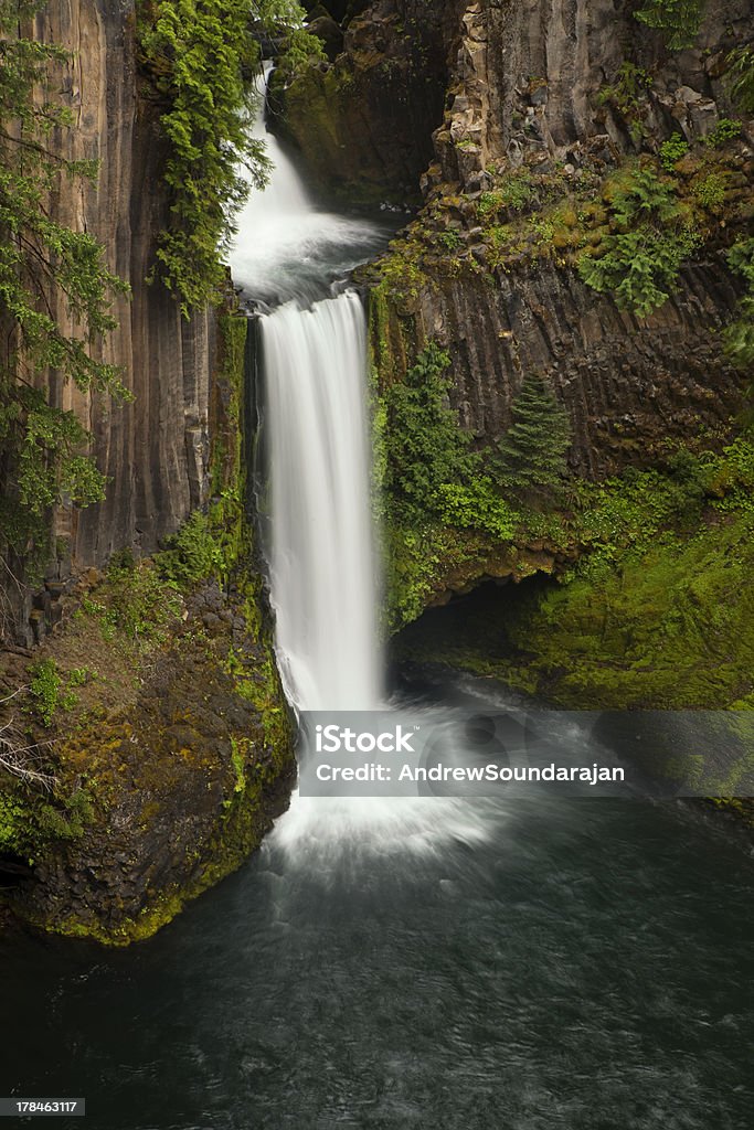 Toketee Falls Oregon's Toketee Falls plunges in two- tiers over 113 feet over columnar basalt rock.  This waterfall is one of the  most famous and beautiful in Oregon, a state famous for it's many tall waterfalls. Basalt Stock Photo
