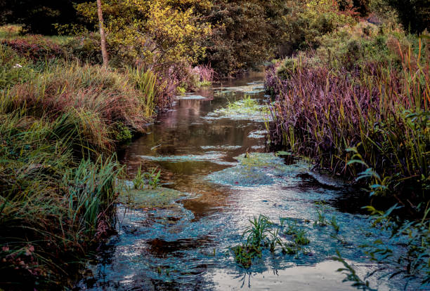 Natural English countryside stream stock photo