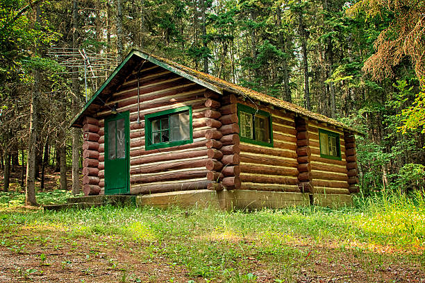 Log Cabin in the Woods