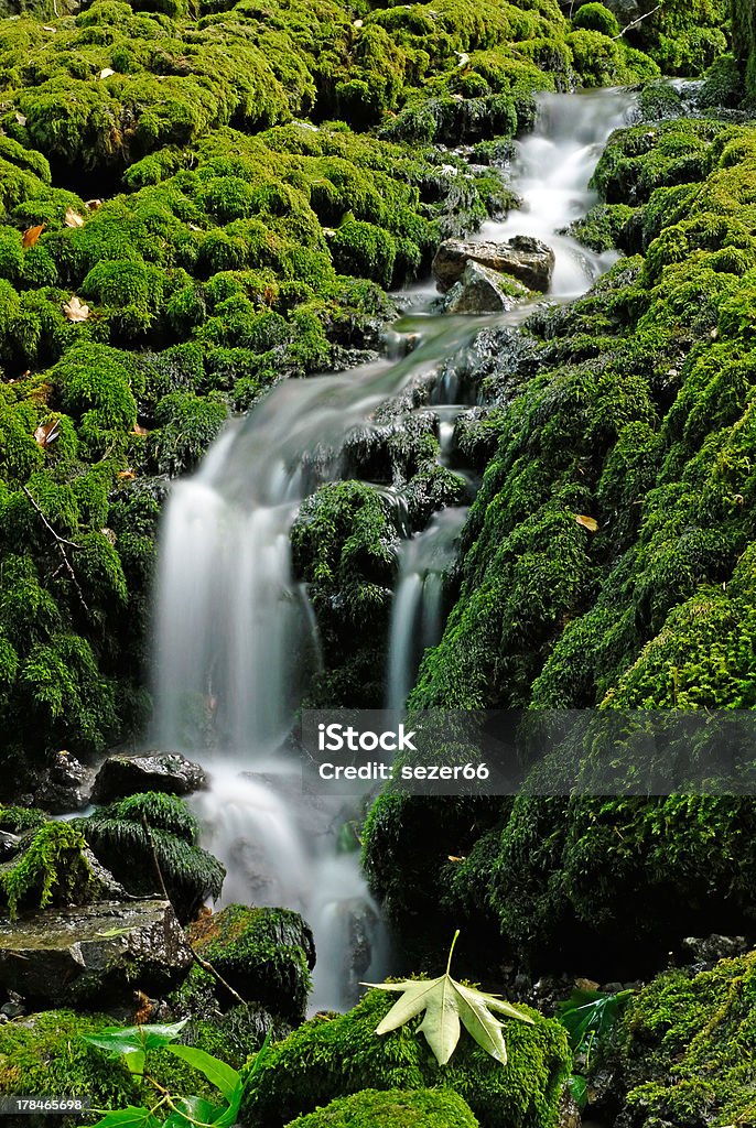 En cascada - Foto de stock de Agua libre de derechos