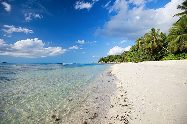 istock Stunning tropical beach at Seychelles 178466481