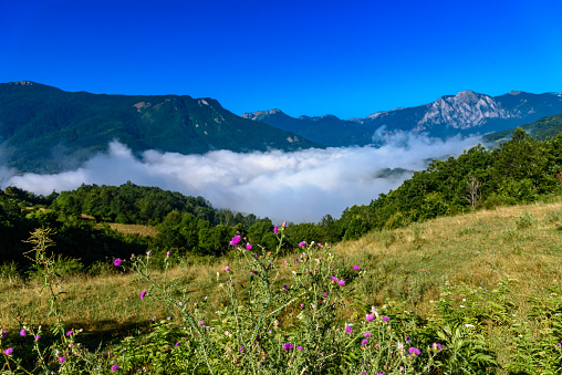 Beautiful mist over green forest on mountain. Fog in the valley. The morning mist in Bosnia and Herzegovina.