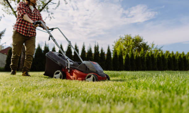 istock Man mows the lawn at home. Gardening tools concept 1784669078