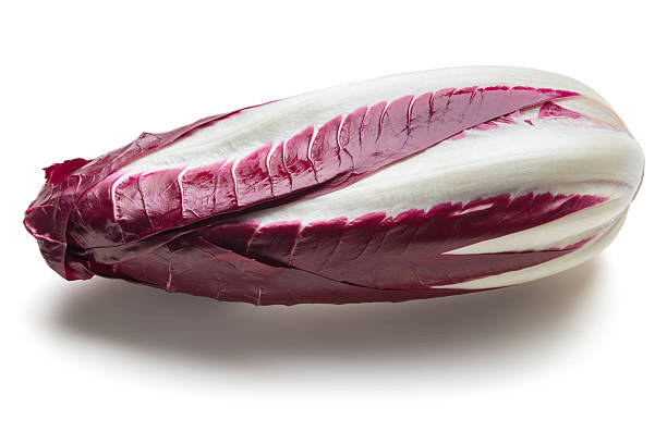 Radicchio Rosso of Verona stock photo