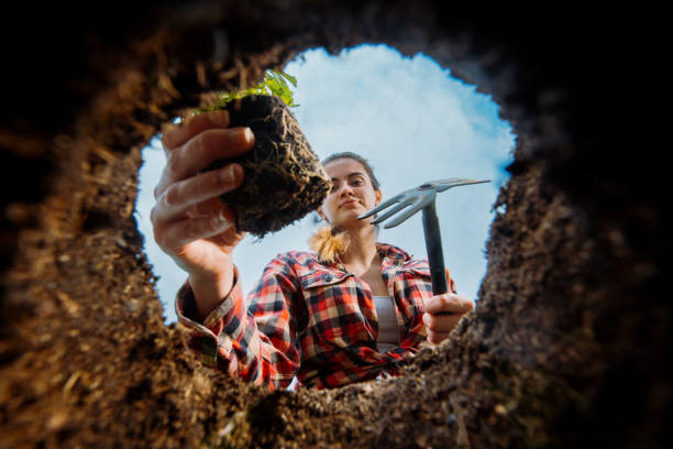 istock Female gardener planting. View from underground. 1784686375