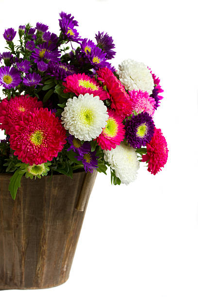 istock bouquet of aster flowers 178468775