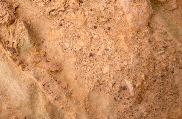 istock Stone texture and background. Formations of rocks, abstract backgrounds, patterns, textures, geology concept 1784692759