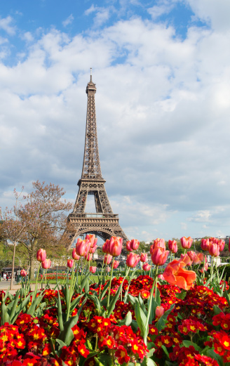 View of the Eiffel tower with beautiful tulips
