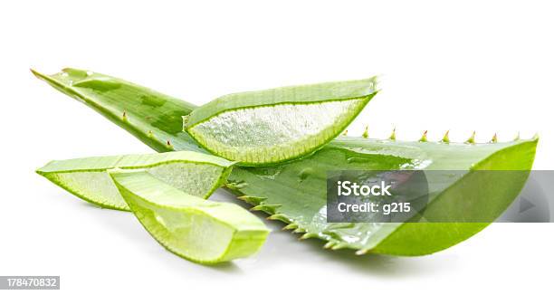 Fresh Cut Green Aloe Leaves On A White Background Stock Photo - Download Image Now - Aloe, Beauty Product, Body Care