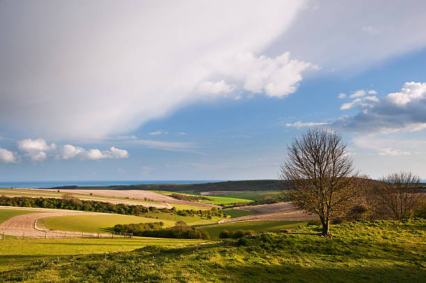 istock Stunning landscape with stormy sky over rural hills 178471335