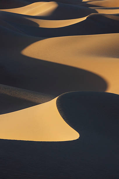 istock Sahara desert sand dunes with dark shadows. 178471500