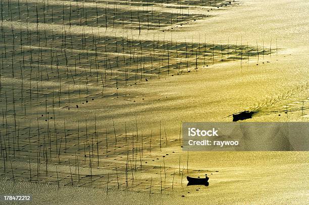 Farm Di Alghe Marine - Fotografie stock e altre immagini di Acqua - Acqua, Agricoltura, Alga marina