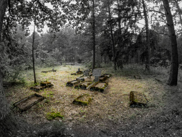 istock Graves in the old Evangelical cemetery 1784723000