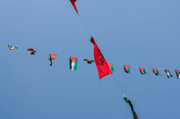 bandeiras da palestina - bilin - fotografias e filmes do acervo