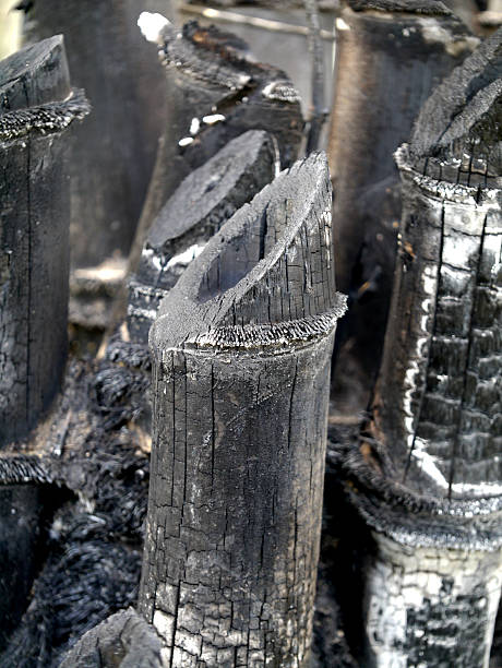 bambu carvão activado para fabricação de tintas. - pyrolysis imagens e fotografias de stock