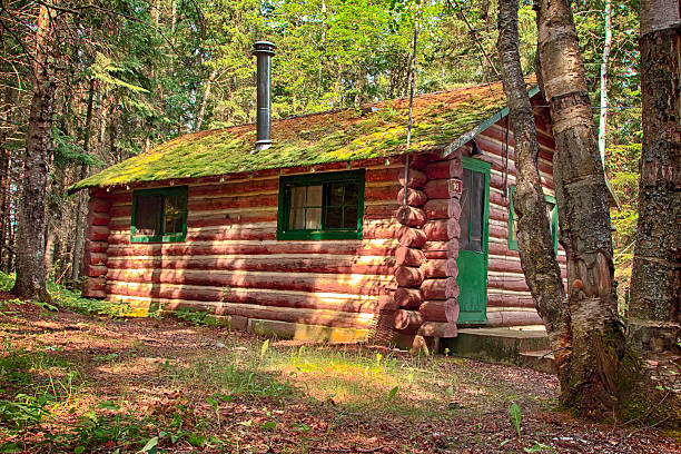istock Log Cabin in the Woods 178474224