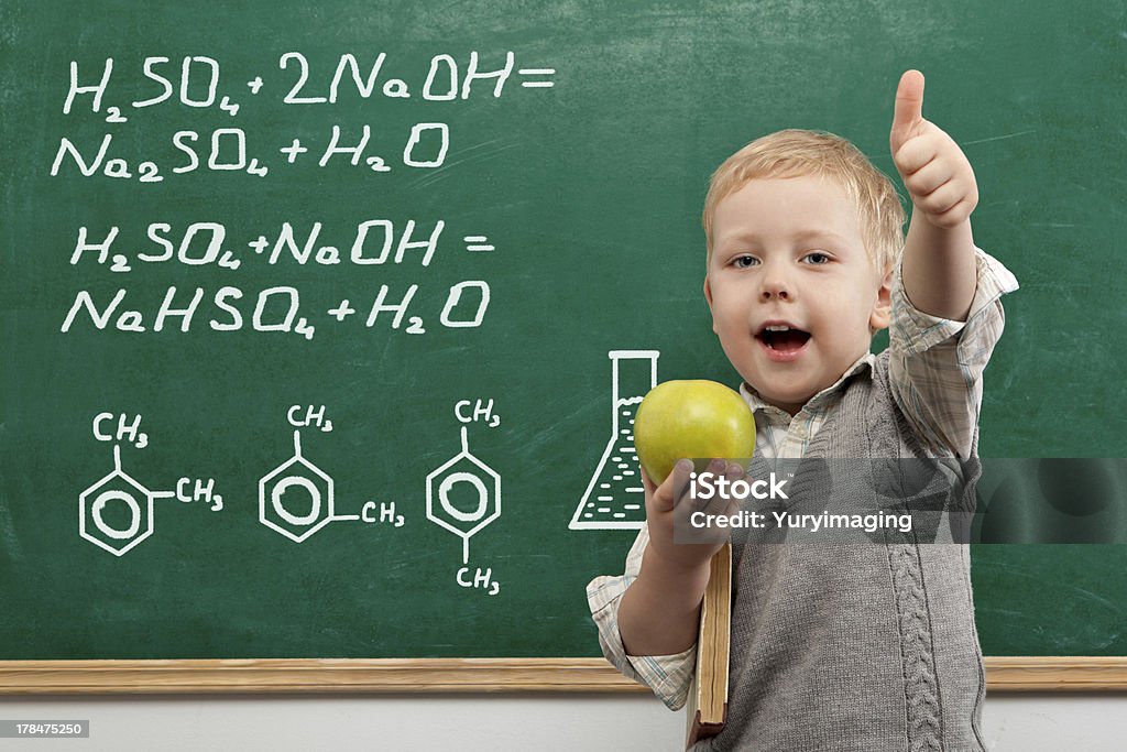 Children portrait Cheerful smiling  child with a book and apples stands at the blackboard . Looking at camera. School concept Beautiful People Stock Photo