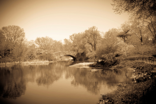 Central Park in New York City with vintage sepia tone