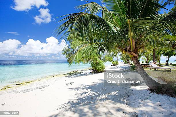 Tropical Beach Stock Photo - Download Image Now - Bay of Water, Beach, Beauty In Nature
