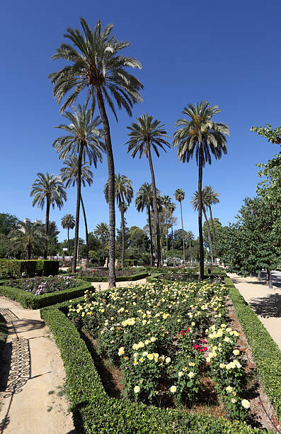 istock Maria Luisa Park in Seville, Spain 178476527