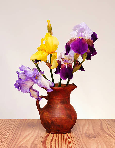 istock Flowers, irises in a ceramic vase 178476579