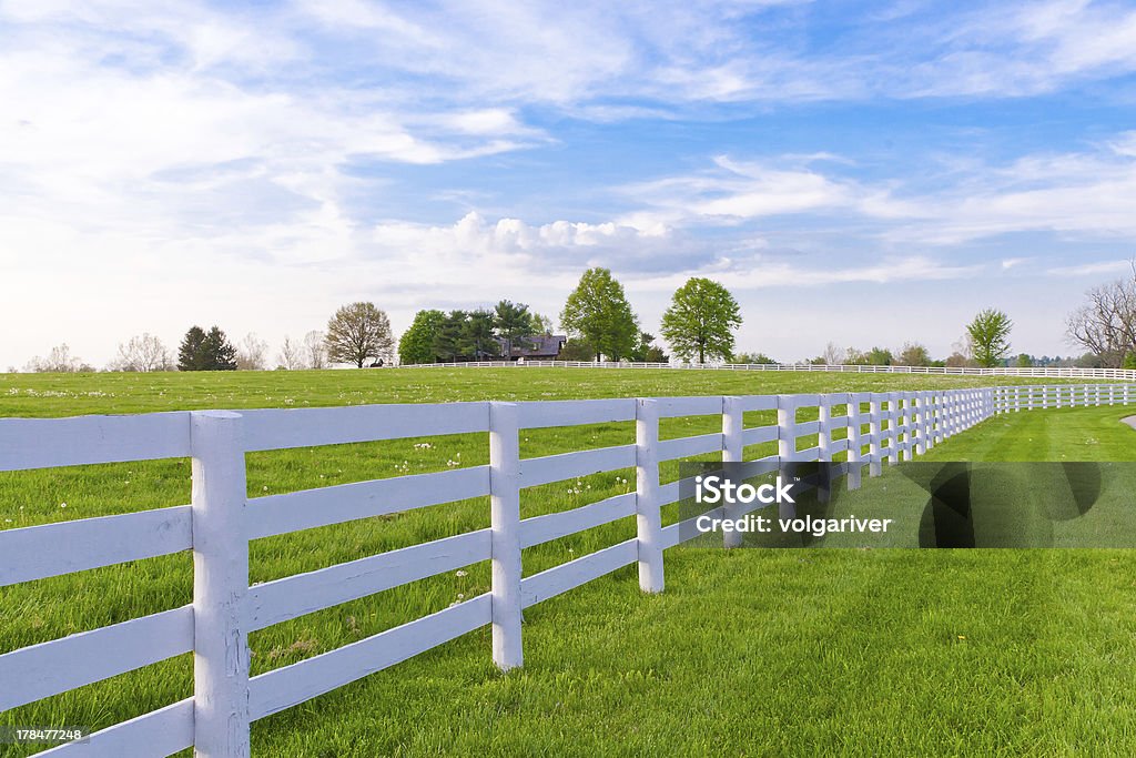 Spring evening at country. Green pastures of horse farms. Country summer landscape. Fence Stock Photo