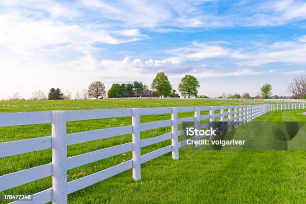 Spring Evening At Country Stock Photo - Download Image Now - Fence, Grass, White Color