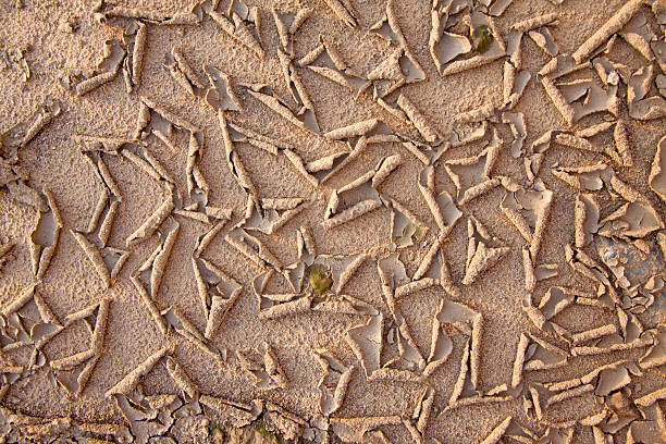 istock dry and parched land in the wild 178478937