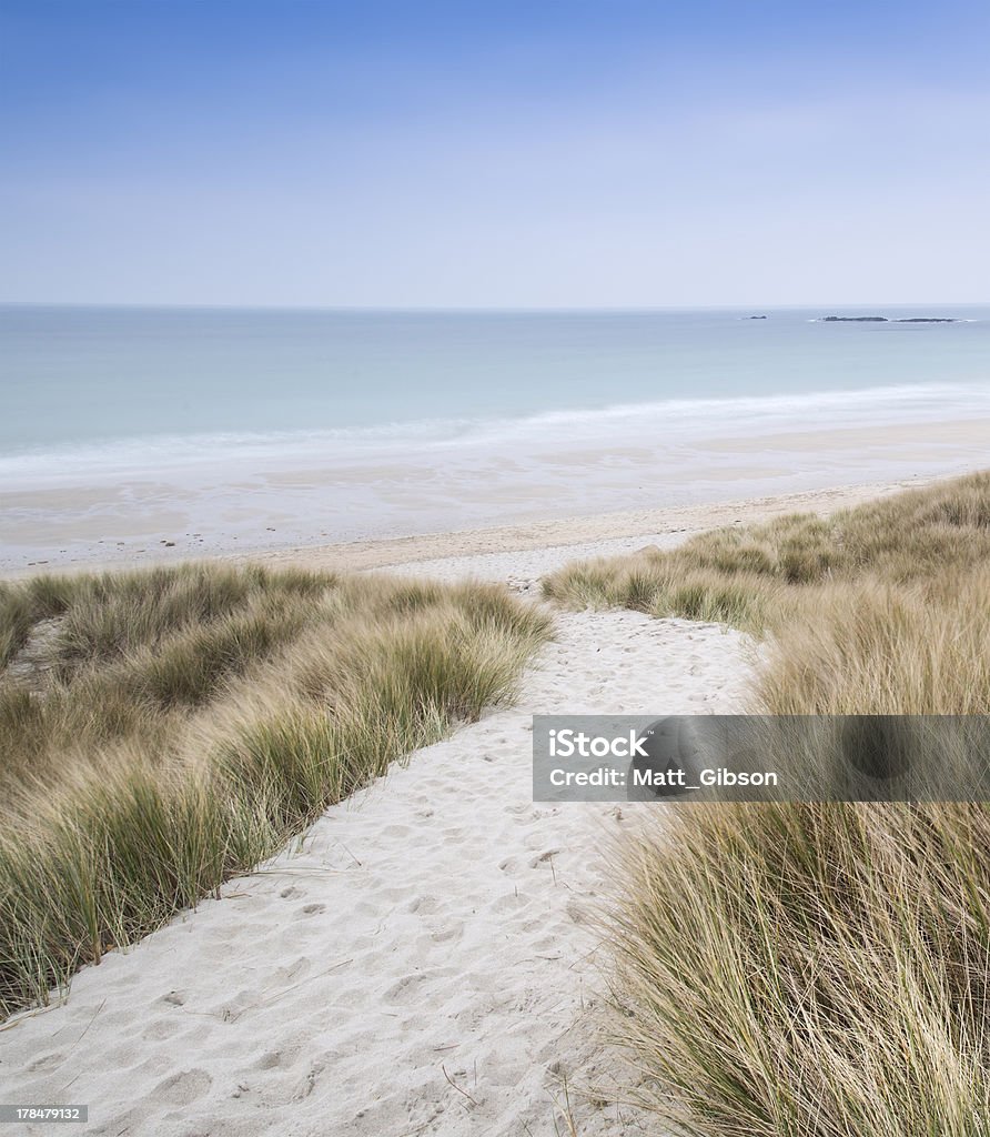 Sandy path leads down through dunes to beautiful golden beach Sandy path leads down through dunes to beautiful golden beach at sunset Sand Dune Stock Photo