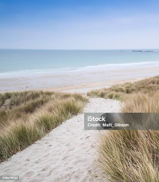 Sandy Path Leads Down Through Dunes To Beautiful Golden Beach Stock Photo - Download Image Now