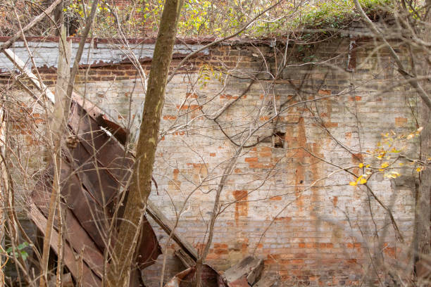 istock Old abandoned brick building overgrown by trees and vines 1784791895
