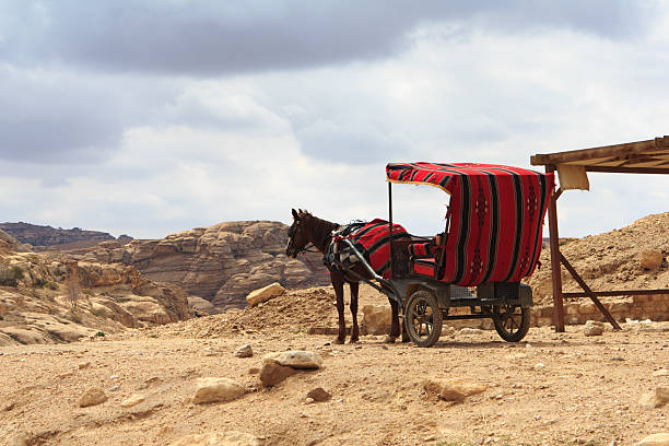 istock Horse carriage in Petra, Jordan. 178480039