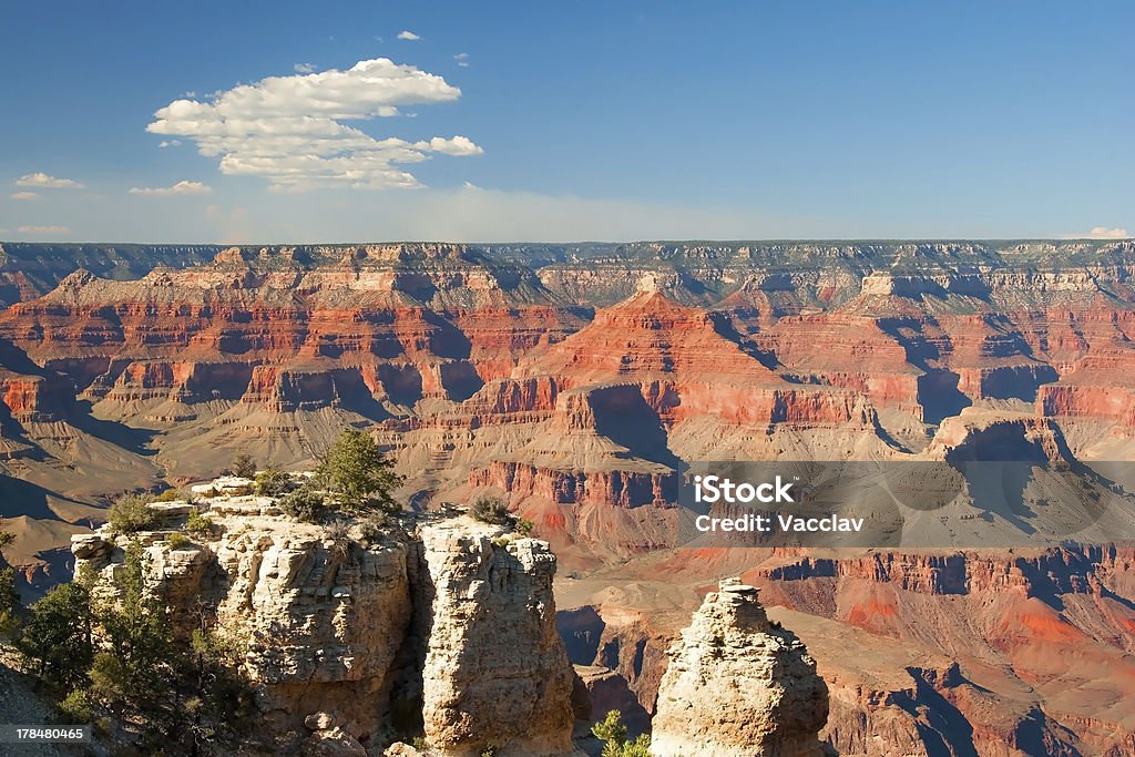 South rim del grand canyon in arizona - Foto stock royalty-free di Adulto