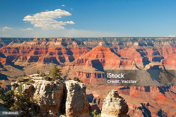 South Rim Del Grand Canyon In Arizona - Fotografie stock e altre immagini di Adulto - Adulto, Ambientazione esterna, Ambientazione tranquilla