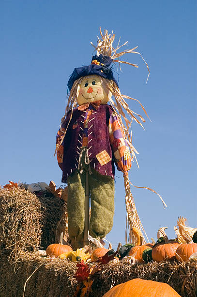 Scare crow stock photo