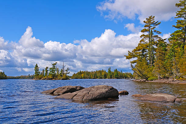 晴れた日に、北の森 - boundary waters canoe area ストックフォトと画像