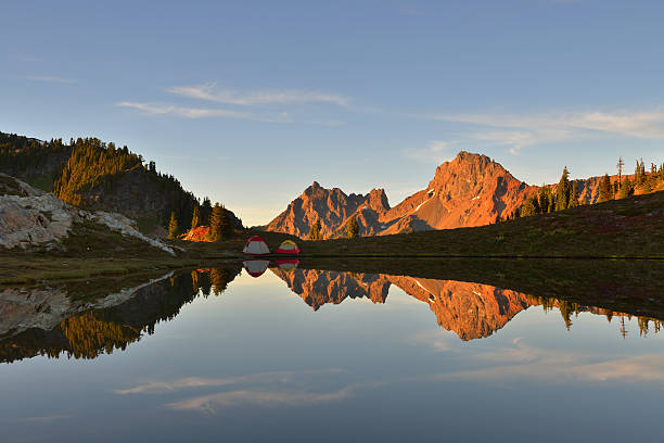 黄色 aster ビュートとボーダーピーク - north cascades national park ストックフォトと画像