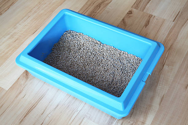 istock Blue cat litter box on a wooden floor 178481238