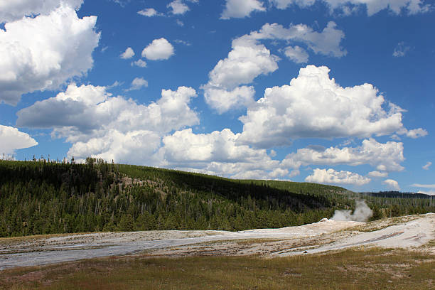 gêiser old faithful no parque nacional de yellowstone - reliability old old faithful famous place - fotografias e filmes do acervo