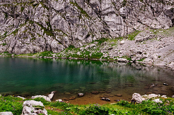 Reflections on a lake stock photo