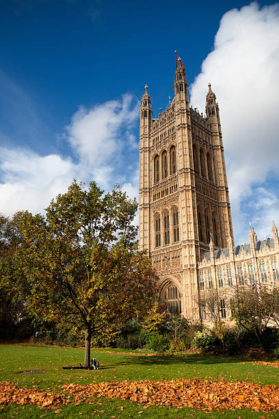 parlamento britannico - victoria tower foto e immagini stock