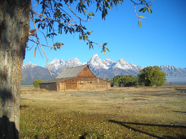 istock Moran Barn Autumn morning shot 178481998