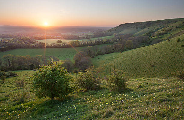 amanecer en colinas de south downs - south downs fotografías e imágenes de stock