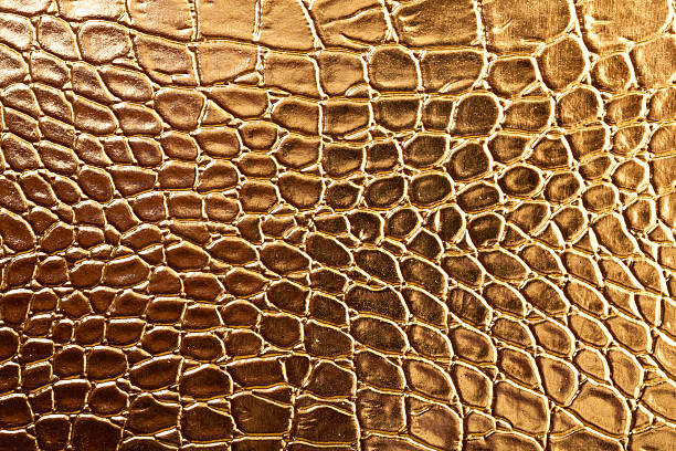 istock Tint Golden Crocodile Skin Texture 178482216