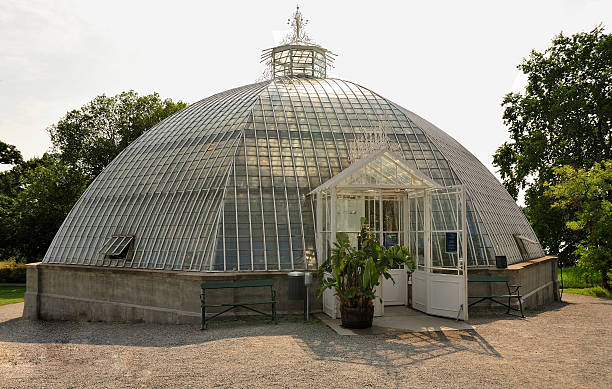 old estufa dome - homegrown produce environment greenhouse futuristic - fotografias e filmes do acervo