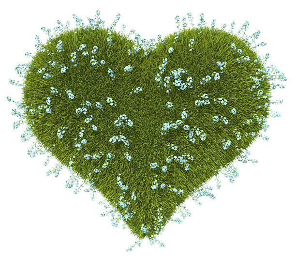 istock Green grass heart shape with forget-me-not flowers 178482724