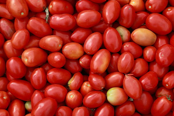 Ripe Roma Tomatoes in a bin. stock photo