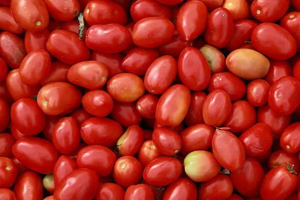 Photo of Ripe Roma Tomatoes in a bin.