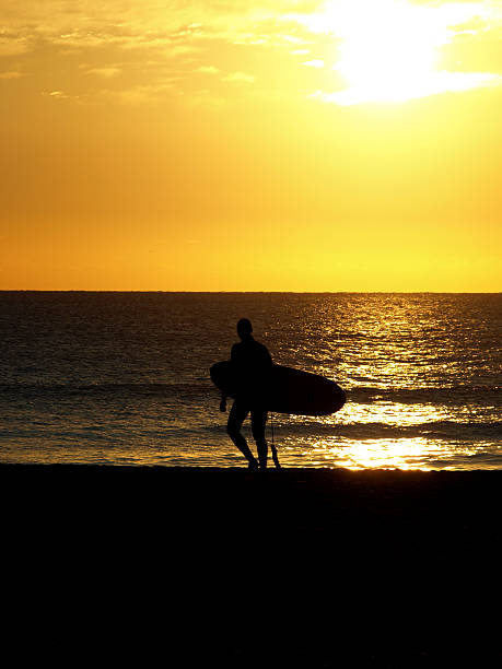 istock Surfer at sunset or sunrise. 178483221
